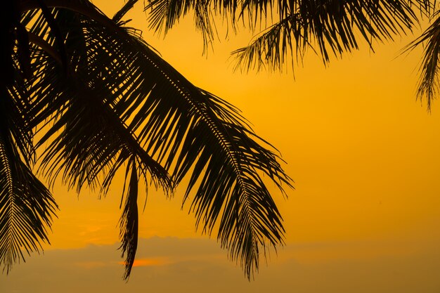 Zonsondergang over de Indische Oceaan door palmtakken.