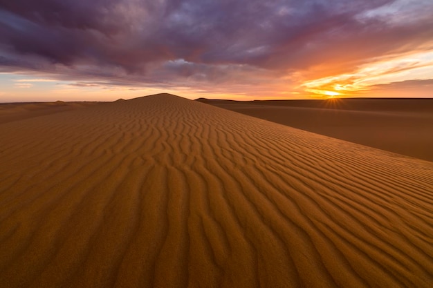 Zonsondergang over de zandduinen in de woestijn Dorre landschap van de Saharawoestijn