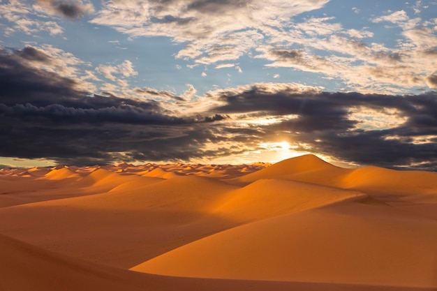 Zonsondergang over de zandduinen in de woestijn Dorre landschap van de Saharawoestijn