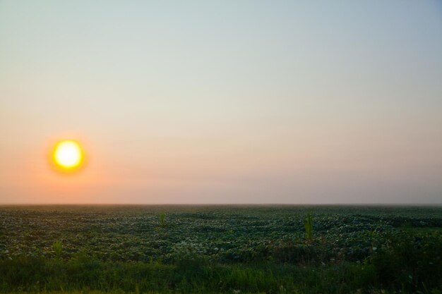 Zonsondergang over een rustig platteland in Ohio