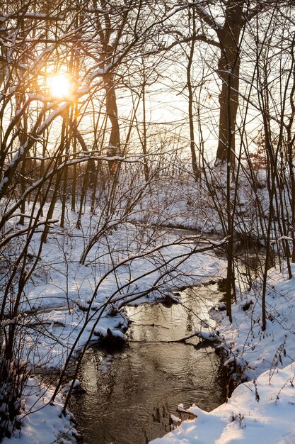 Zonsondergang over plattelandsrivier in een sneeuw, Polen, Neder-Silezië