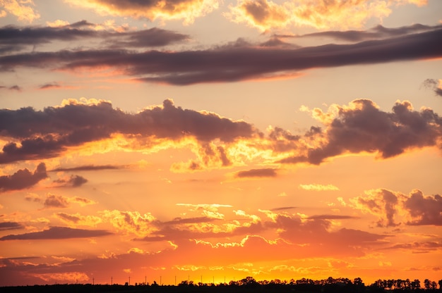 Zonsondergang over weide