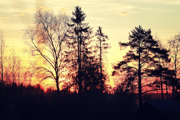 Zonsondergang plantentak zomer