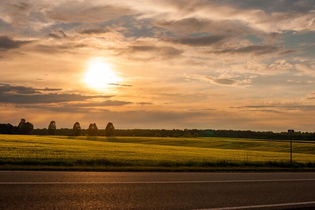 Zonsondergang prachtige luchtweg in de warme stralen van avondlicht en een groot veld silhouetten van bomen aan de horizon