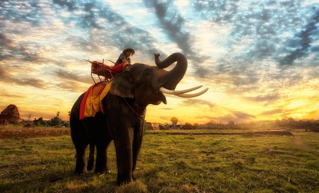 Zonsondergang thais platteland in thailand