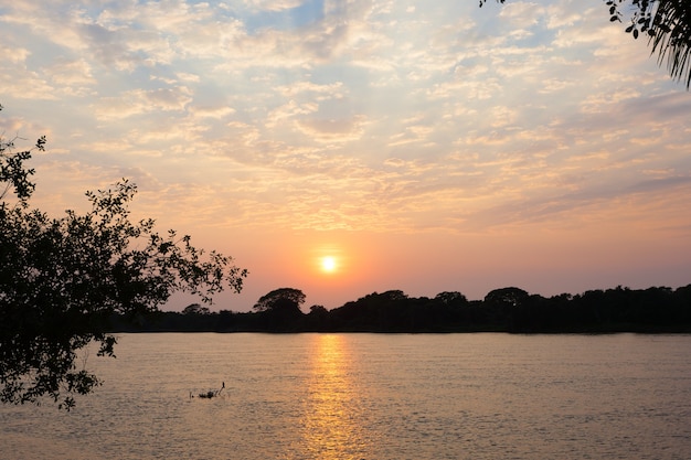 Zonsondergang vanuit pantanal. braziliaanse wetland regio. panorama vanuit brazilië