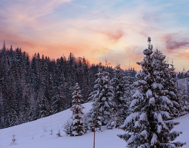 Zonsondergang winter Oekraïens Karpaten landschap