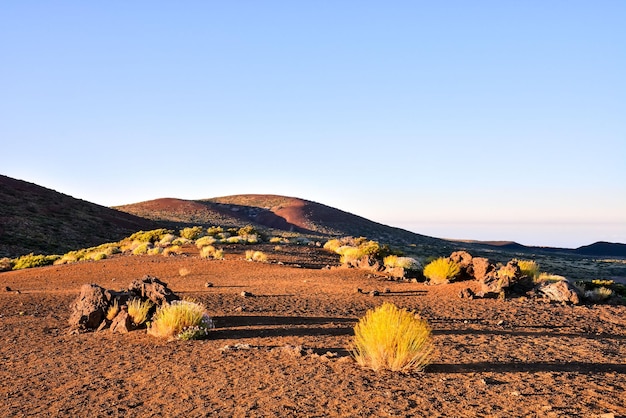 Zonsondergang Woestijnlandschap op Tenerife, Canarische Eilanden, Spanje