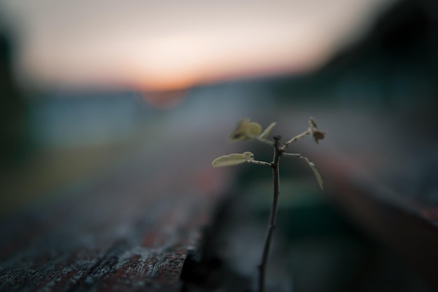 Foto zonsondergang