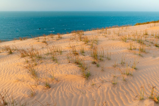 Zonsondergangduin van Ponta Grossa Beach Icapui Ceara Brazil