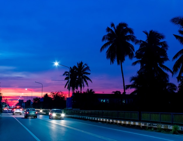 Zonsonderganglicht achter de kokospalmen en de weg.