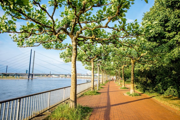 Foto zonsondergangmening over het groene steegje in het rhein-park in de stad düsseldorf, duitsland