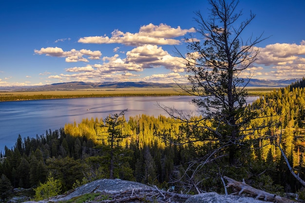 Zonsondergangmening van het jenny-meer in het nationale park van Grand Teton, Wyoming