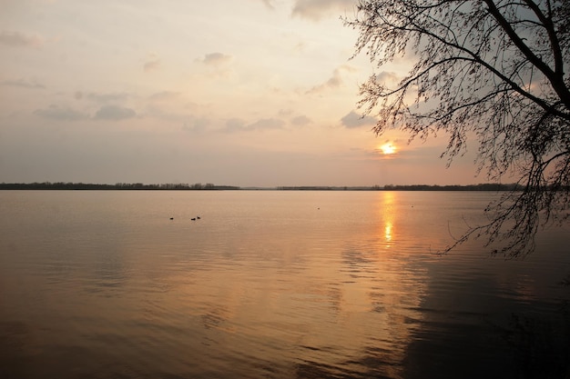 Zonsondergangreflectie in een meer rond Pasohlavky, Zuid-Moravië, Tsjechië