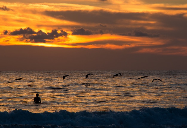 Zonsondergangstrand en mens en vogelssilhouet