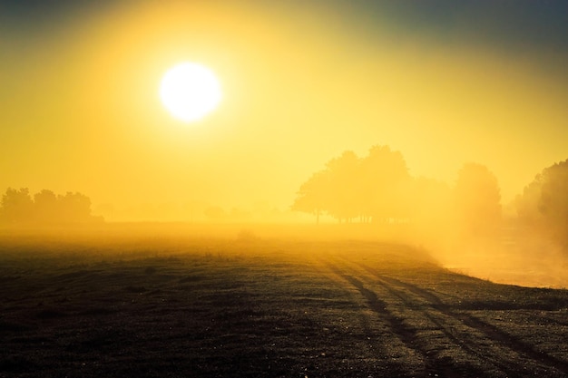 Zonsopgang bij de rivier en mist over het water op een herfstochtend