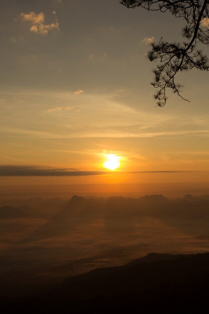 Zonsopgang bij het Nationale Park van Phukradung, Thailand