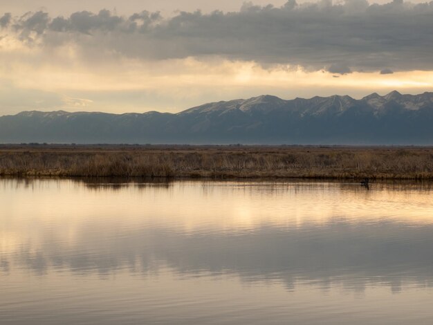 Zonsopgang bij Monte Vista National Wildlife Refuge