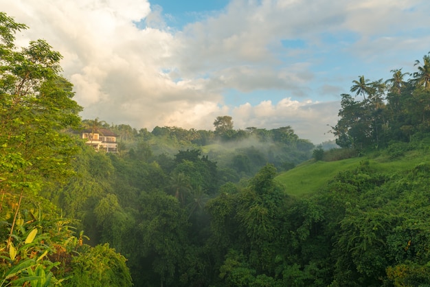 Zonsopgang boven de jungle