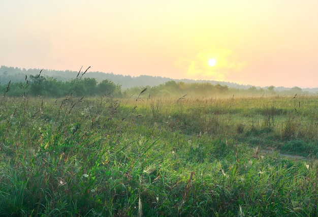 Zonsopgang boven een groene weide