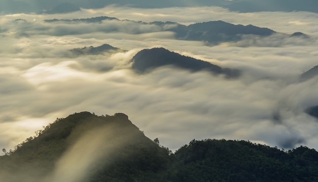 Zonsopgang boven mist of mistige berg bij phu chi dao chaing rai provincie