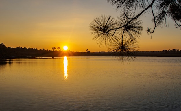 Zonsopgang dichtbij de vijver op de berg in thailand, silhouettenbeeld