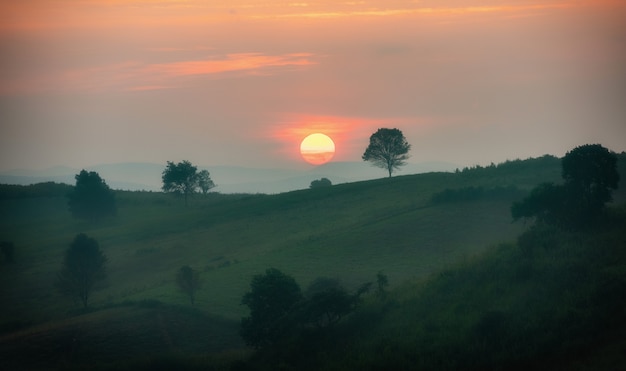 Zonsopgang in de bergen