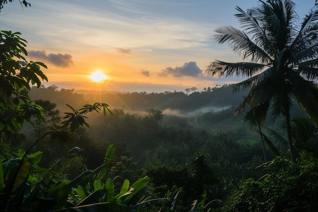 zonsopgang in de jungle met palmbomen en de zon schijnt door de wolken