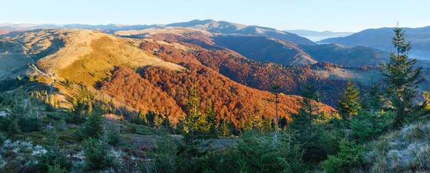 Zonsopgang in de Karpaten van de herfst. Bergtop aanbreken van de dag landschap met kleurrijke bomen op helling.