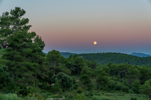 Zonsopgang in het natuurpark Sierra de Mariola met een volle maan, Banyeres de Mariola, Valenciaanse Gemeenschap, Spanje.
