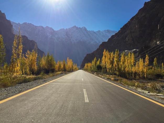 Foto zonsopgang met duidelijke blauwe hemel over gele populierbomen, karakoram-weg.