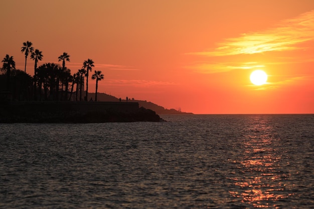 Zonsopgang op de zee palmbomen in tegenlicht