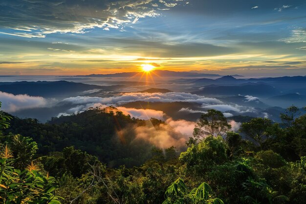 zonsopgang op het eerste gezicht in het Pu Chi Fa nationaal park Chiangrai Thailand