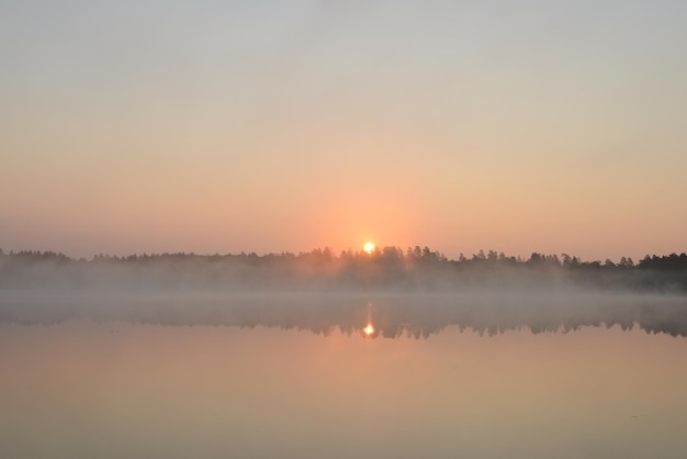 Zonsopgang op het meer Bosmeer in de vroege ochtend in de zomer Mistig lentelandschap