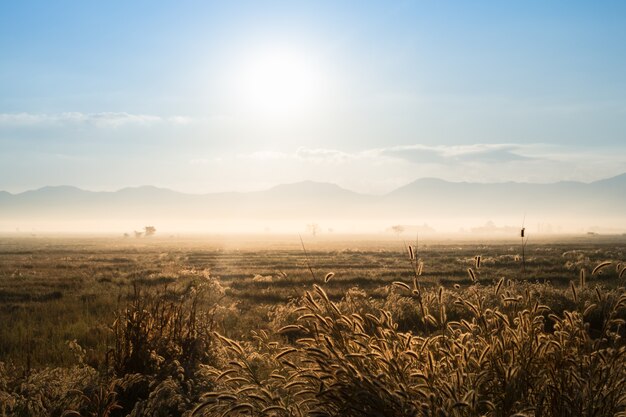 Zonsopgang op veldberg