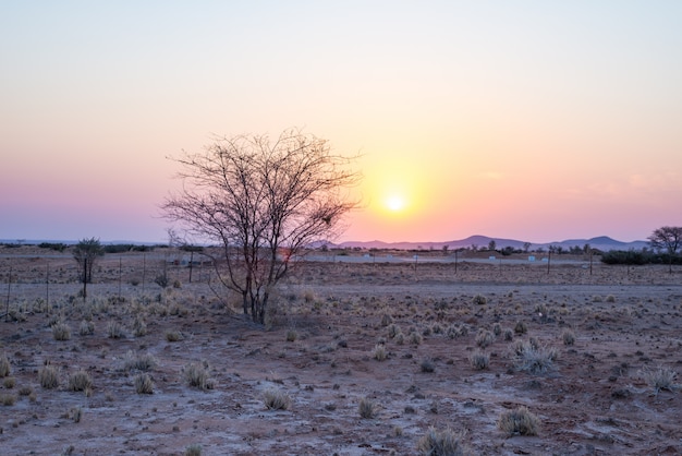 Zonsopgang over de Namib-woestijn, het Nationale Park van Namib Naukluft, reisbestemming in Namibië, Afrika