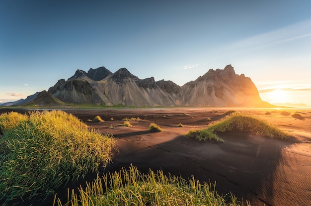 Zonsopgang over de Vestrahorn-berg en graspol op het zwarte zandstrand in Stokksnes in het zuidoosten van IJsland