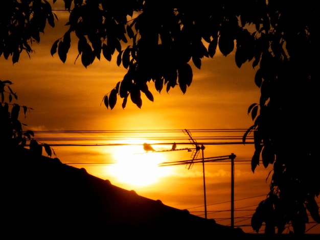 Zonsopgang prachtige silhouetten gevormd in de prachtige kleuren van zonsopgang in de selectieve focus van het natuurlijke licht van de stad