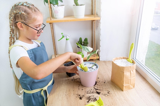 Foto zorg voor kamerplanten door een meisje schort en bril thuis monstera borsigiana albo gevarieerd