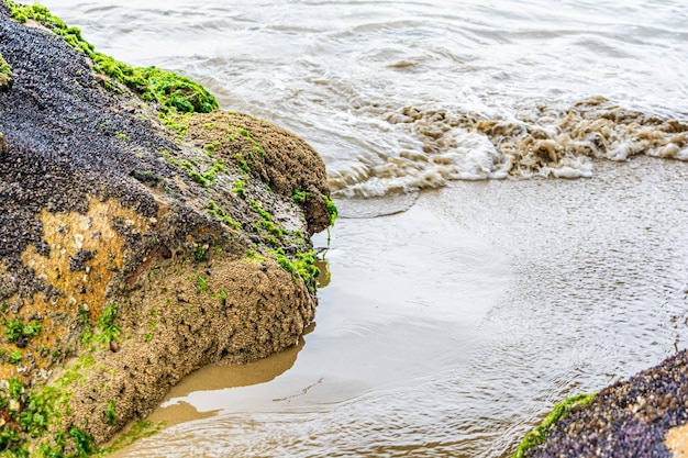 Zout water uit de zee raakt natuurstenen in het zand op het strand