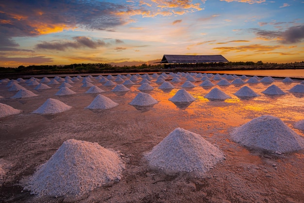 zoutboerderij in Thailand, Zoutindustrie, zonsondergang op een roze zoutmeer, Zoutlandbouw bij zonsondergang Naklua in de