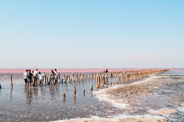 Zoute roze houten palen steken boven het wateroppervlak uit