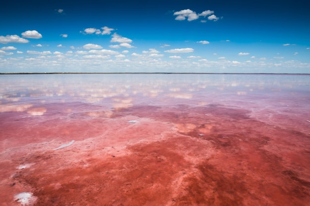 Zoutmeer met roze zout en de blauwe lucht met wolken weerspiegeld in het wateroppervlak. Sasyk-Sivash roze zoutmeer op de Krim. Zomer landschap