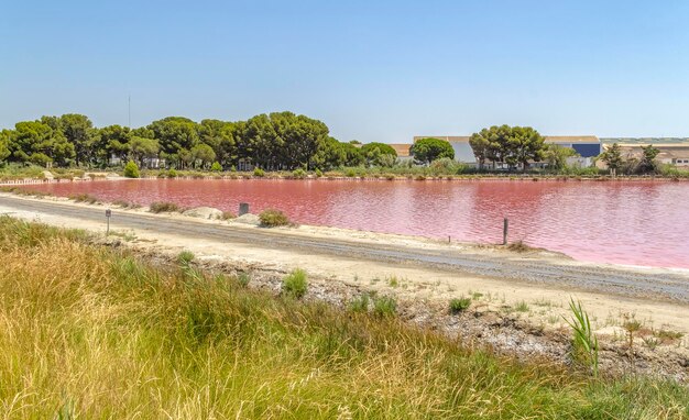 Zoutwater in de Camargue