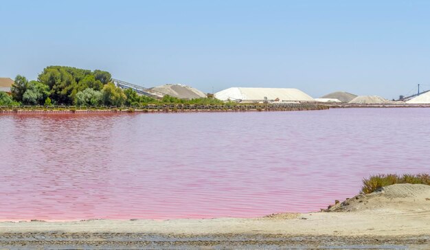 Zoutwater in de Camargue