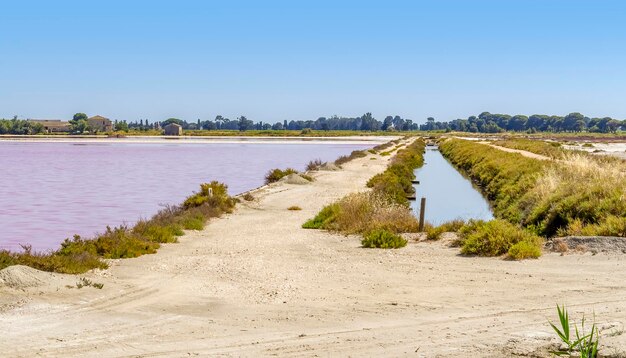 Zoutwater in de Camargue