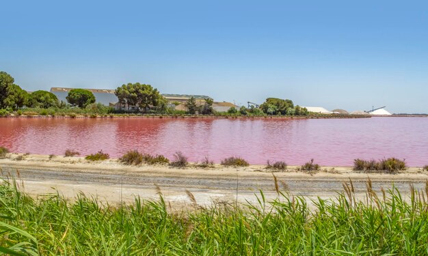 Zoutwater in de Camargue