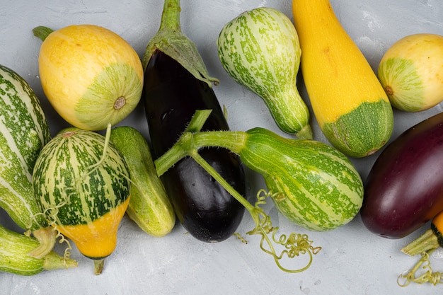 Zucchini, eggplant lie on a light gray background, harvest