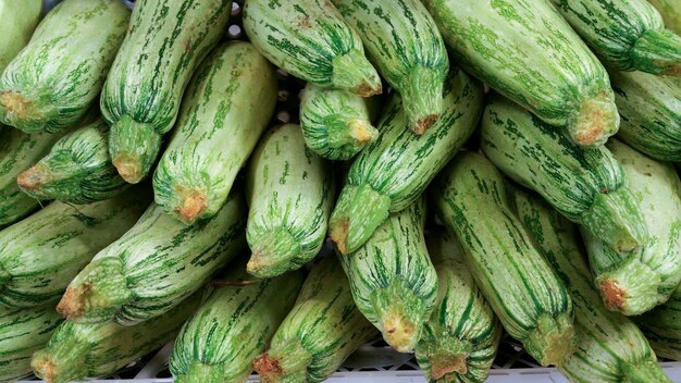 Zucchini sale at market.