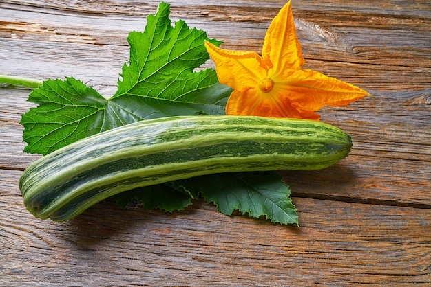 zucchini vegetable and flower on wood